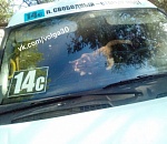 Астраханцы сообщают о водителе маршрутки, который оставил кота погибать в машине