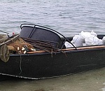 Четырем астраханцам придется ответить, как осетр и сом оказались вместе