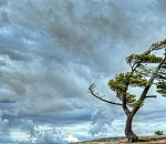 Астраханцев ждет ветреный вторник