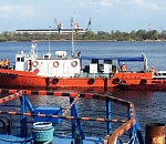 На трусовской стороне Астрахани обнаружили еще одно место загрязнения Волги