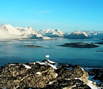 Купить нельзя захватить: почему Гренландия важна для США и сколько она может стоить