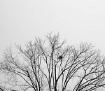 Завтра в Астрахани будет дуть 