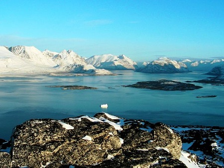 Купить нельзя захватить: почему Гренландия важна для США и сколько она может стоить