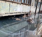 Суд поддержал 11-миллионный иск Росприроднадзора к «Астрводоканалу» о возмещении вреда почве