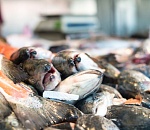 Полтонны сомнительной рыбы уничтожат в Астрахани по решению суда