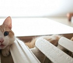  Под Астраханью коммунальщики оставили без отопления почти 50 тысяч жителей 