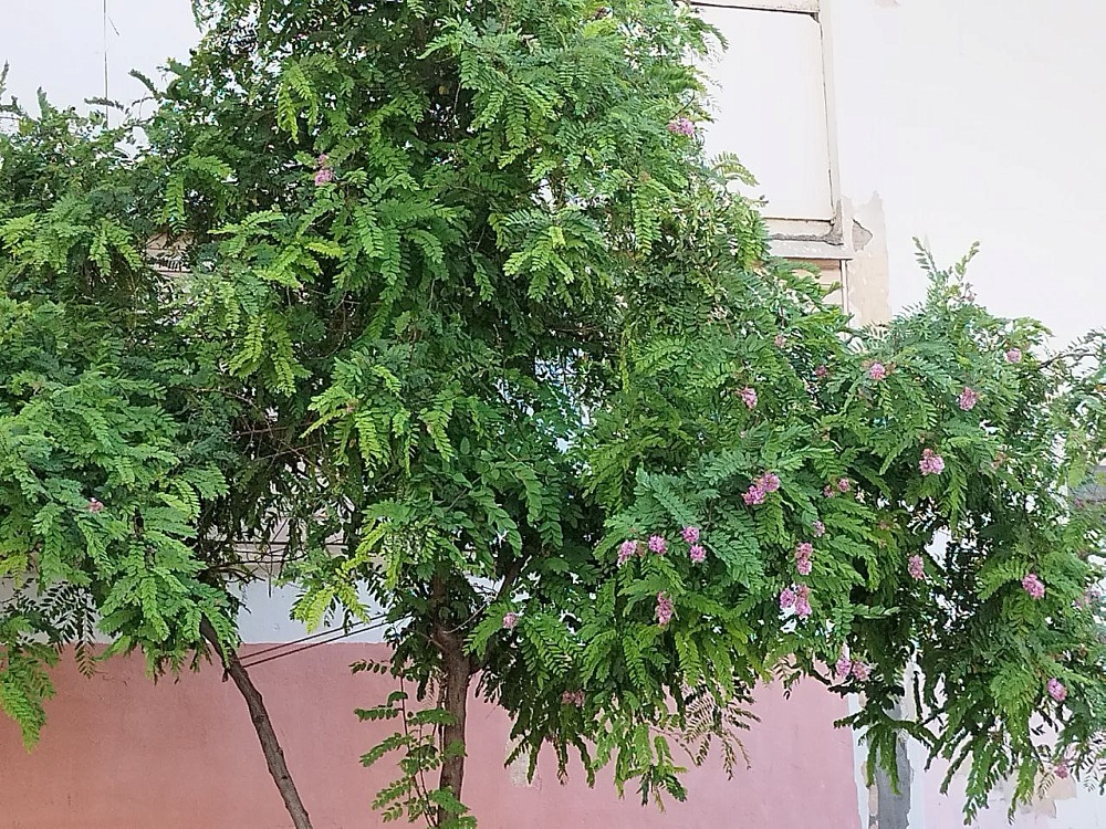 Погода продолжит баловать астраханцев прохладой