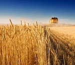 Астраханские аграрии могут получить льготный заём