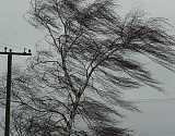 МЧС предупреждает астраханцев об ураганном ветре