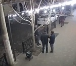 В центре Астрахани неизвестные прямо на камеру сломали ветки дерева