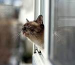 Завтра в Астрахань придет тепло