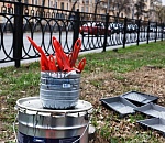 В Астрахани месячник чистоты поддержали почти 67 000 человек