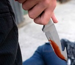 На севере Астраханской области убили женщину ударом ножа в шею