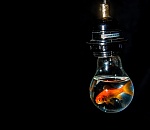 Три района Астрахани завтра останутся без света