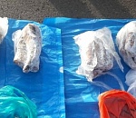 Из-за рядовой проверки на дороге астраханка осталась без осетра в новогоднюю ночь 