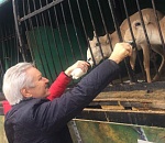 Сайга, за судьбу которой так переживали астраханцы, стала мамой