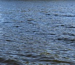 Найдено тело девочки, которая утонула вместе с бабушкой под Астраханью