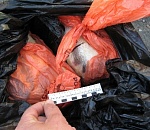 Под Астраханью полиция задержала очередного браконьера