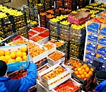 Больше всего в 2022 году ввезли на территорию Астраханской области сухофруктов и орехов