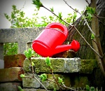 Более 300 астраханских дачников второй год существуют без воды