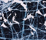 На Кутуме под лёд провалилась школьница из Астрахани