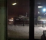 Катастрофа Ту-154: судно могло быть захвачено