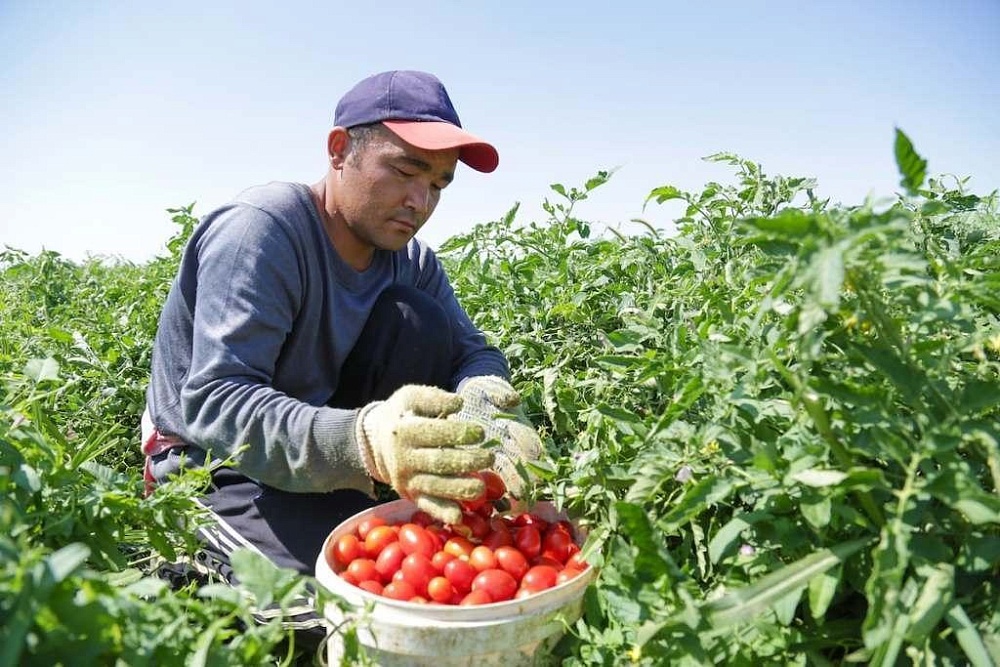 Мигрантам в Астраханской области будут прививать духовно-нравственные ценности