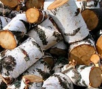 Время запасаться дровами? ЛУКОЙЛ-ТТК бьет тревогу из-за 860-миллионного долга потребителей за тепло 