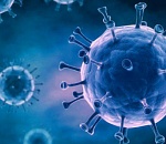 В России за сутки коронавирусом заразились 182 человека, двое скончались