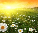 Ближайшую неделю астраханцам обещают жаркой и почти без дождей