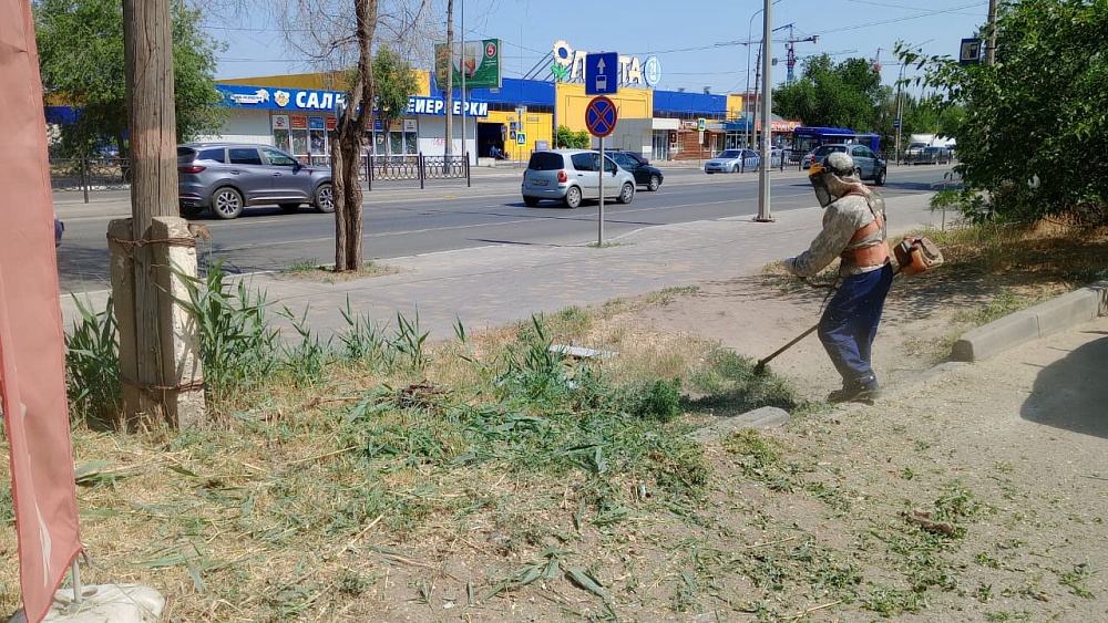 Почти 200 гектаров сорной растительности скосили в Астрахани