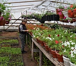 В Астрахани озеленяют разделительную полосу на улице Савушкина