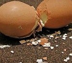 В Астрахани столкнулись две маршрутки