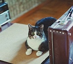 Собирайся, ты уходишь: в Астрахани семью выселили из квартиры за долги