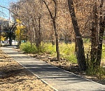 Астраханцы совместно с властью благоустраивают свои микрорайоны и дворы