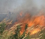  МЧС объявило в Астрахани штормовое предупреждение