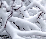 В Астрахани снегопад продлится несколько дней