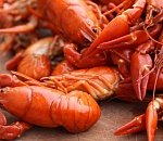 Астраханские браконьеры открыли массовую охоту на раков 