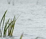 Прыжок с тарзанки чуть не стоил подростку жизни