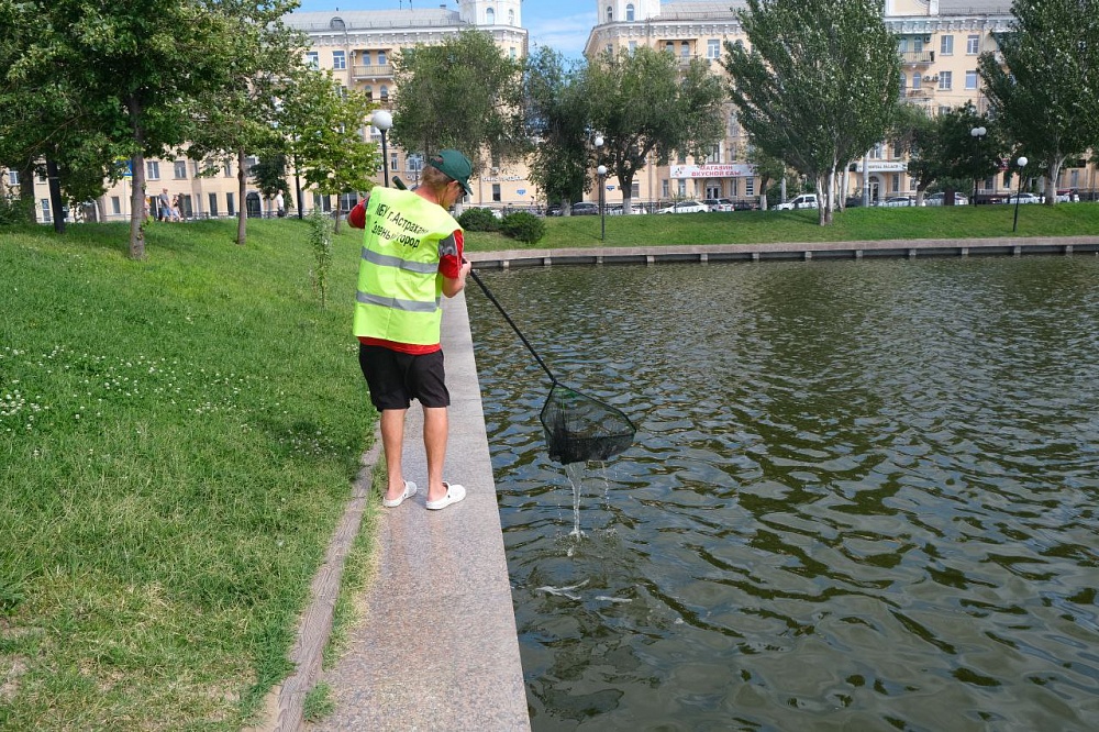 Астраханцы превратили Лебединое озеро в мусорную поляну 
