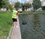 Астраханцы превратили Лебединое озеро в мусорную поляну 