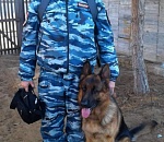 Собака Кинг помогла астраханским полицейским задержать преступников