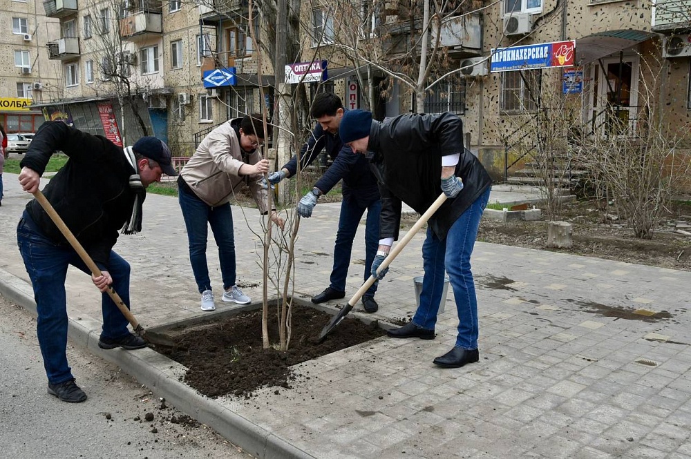 ﻿Мария Пермякова высадила деревья на улице Яблочкова в Астрахани