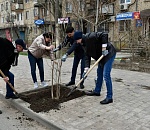 Мария Пермякова высадила деревья на улице Яблочкова в Астрахани