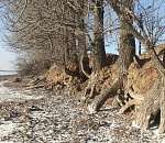 Какая погода ждет астраханцев 1 февраля?