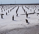 Баскунчаку понизили охранный статус