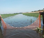 Записки астраханского натуралиста. Ихтиологи заповедника – об урожайности паводка 2020