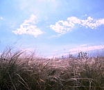 В Астрахани немного спадает  жара