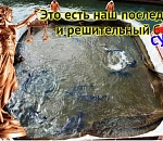 Судьбу астраханских осетров в шлюзах может решить Верховный суд России