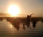 В субботу в Астрахани стартует сезон охоты: какие законы стоит знать